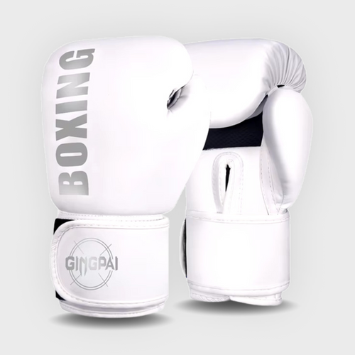 Professional Boxing Gloves